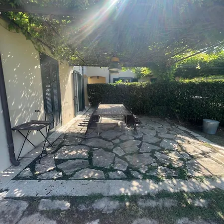 别墅 Villaimmersanellecollinetoscane 佩夏罗马纳