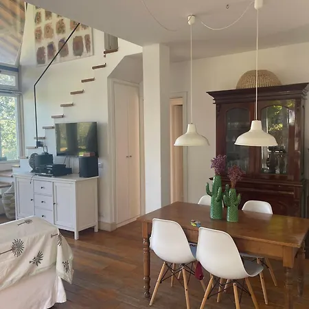 Villaimmersanellecollinetoscane Villa *